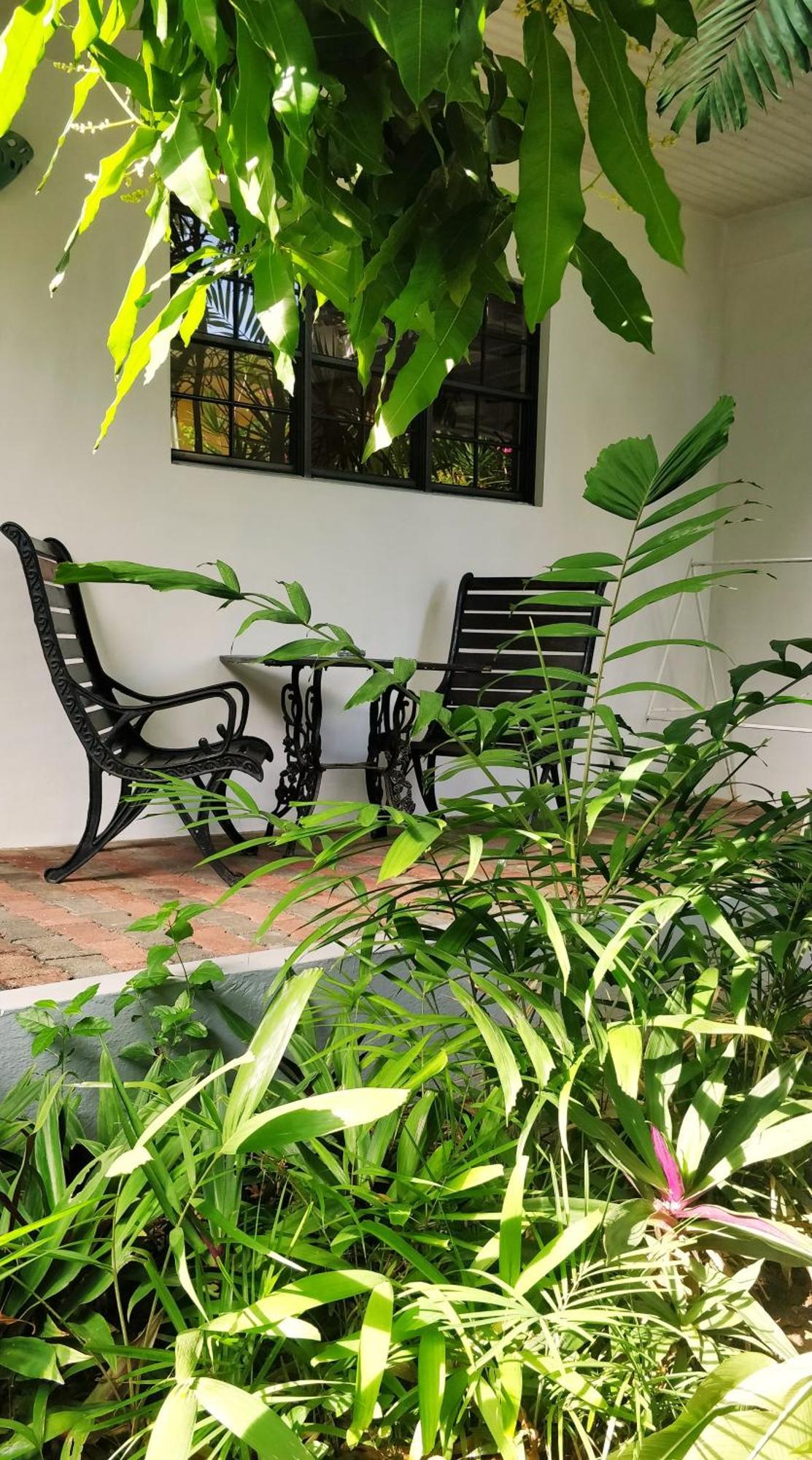 Bananaquit Tobago -Stay Near The Beach 克朗角 外观 照片