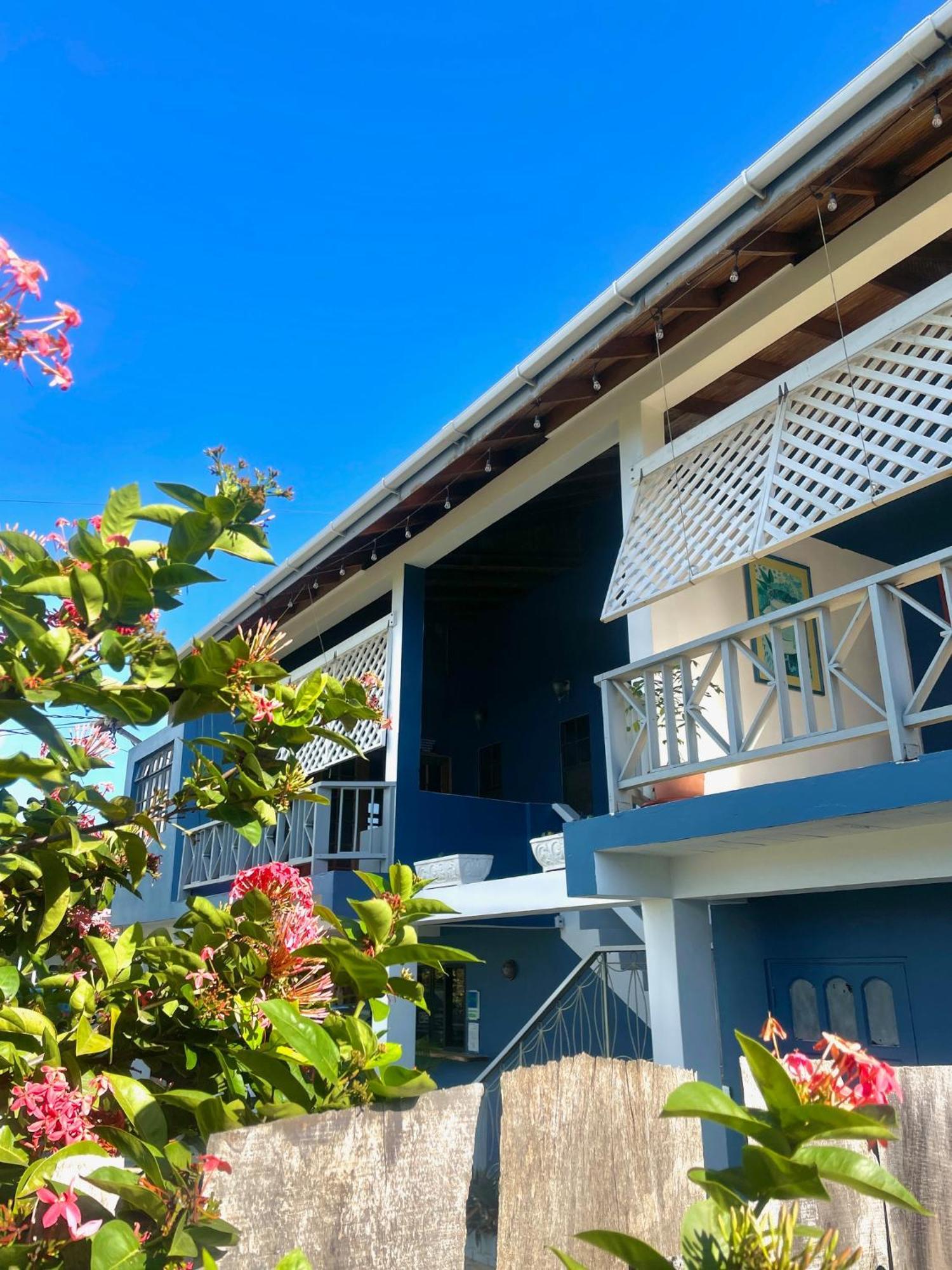 Bananaquit Tobago -Stay Near The Beach 克朗角 外观 照片